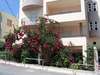 Lamno Hotel 
